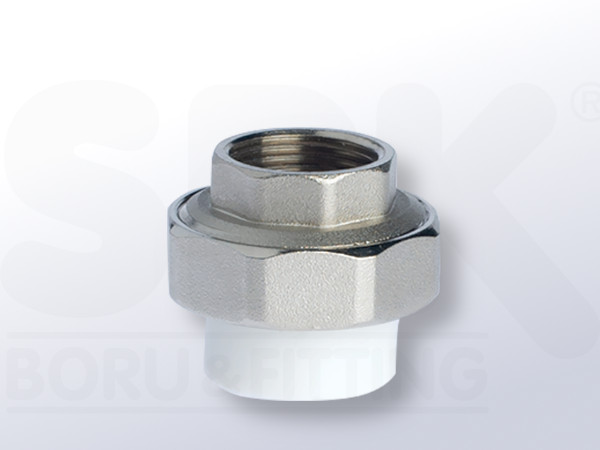 PPR, SEPARABLE JOINT FEMALE